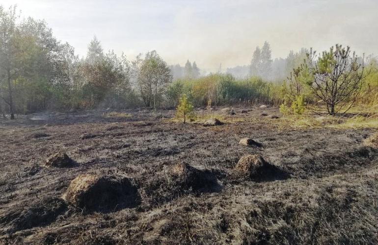 Пожары охватили Житомирскую область: спасатели призывают не сжигать сухую траву и листья