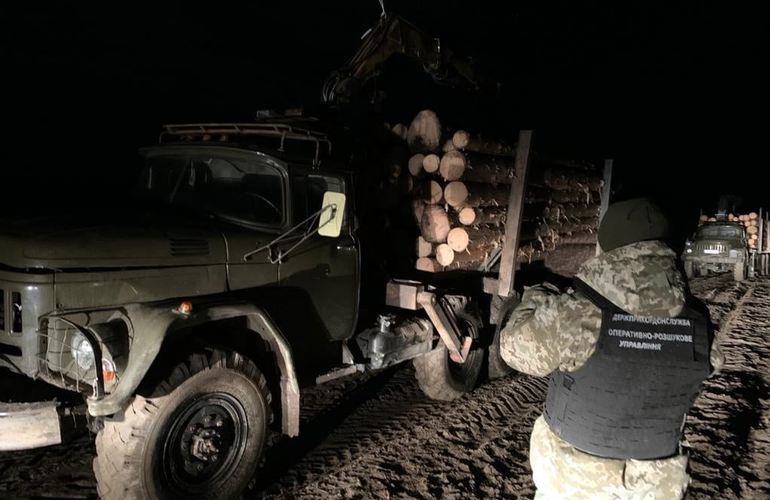 На Житомирщине в пограничной зоне задержали грузовики, перевозившие краденный лес