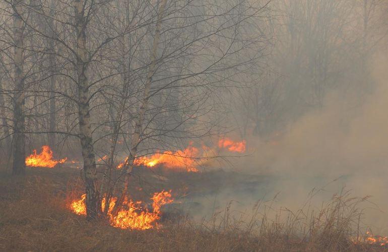На Житомирщине трое пенсионеров получили серьезные ожоги, сжигая сухую траву