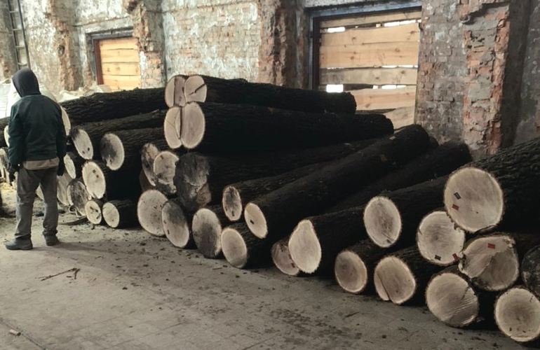 Работники лесничества помогали бизнесмену уничтожать дубовые леса Житомирщины